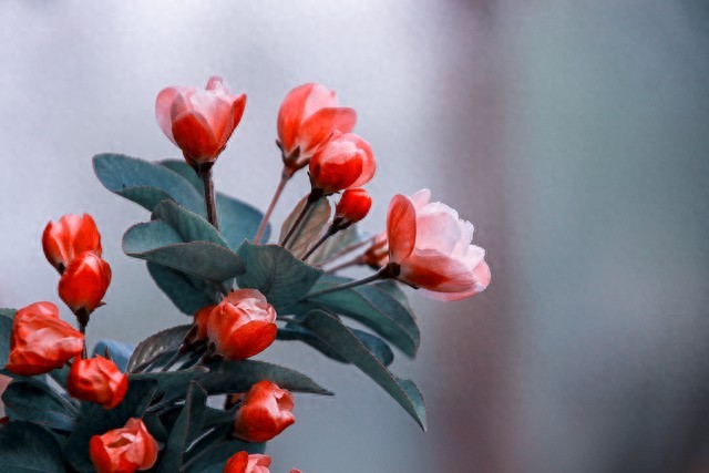 pg下载 理科自学方法指导，第二讲，以高中物理牛顿定律之公式学习为例