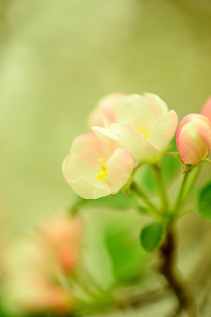 牛顿定律例题自主学习_例题拆解与重建_牛顿第一定律生活应用