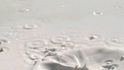 非牛顿流体生活应用_非牛顿流体特性 口香糖开椰子 剪切增稠现象