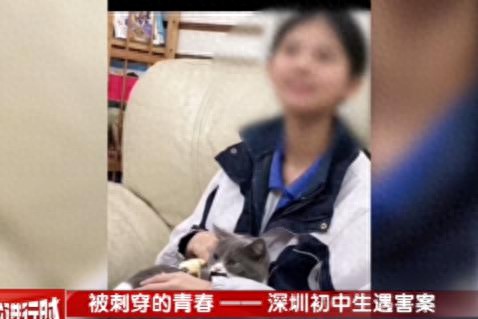 为游戏杀人新闻_初中生被害案_深圳市中级人民法院判决_故意杀人罪