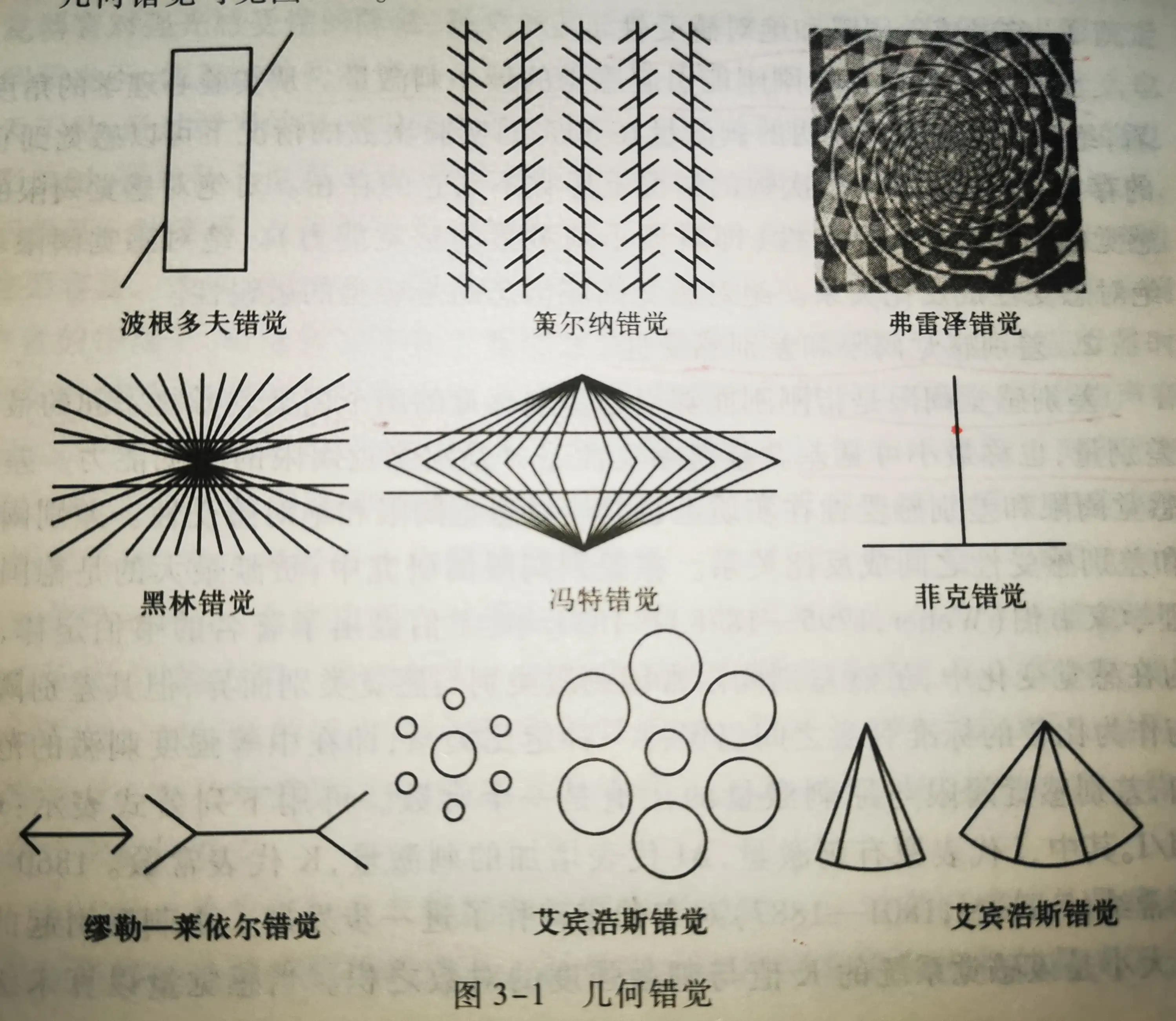 知觉分类标准_视知觉听知觉嗅知觉味知觉触知觉_知觉的基本特征 生活应用