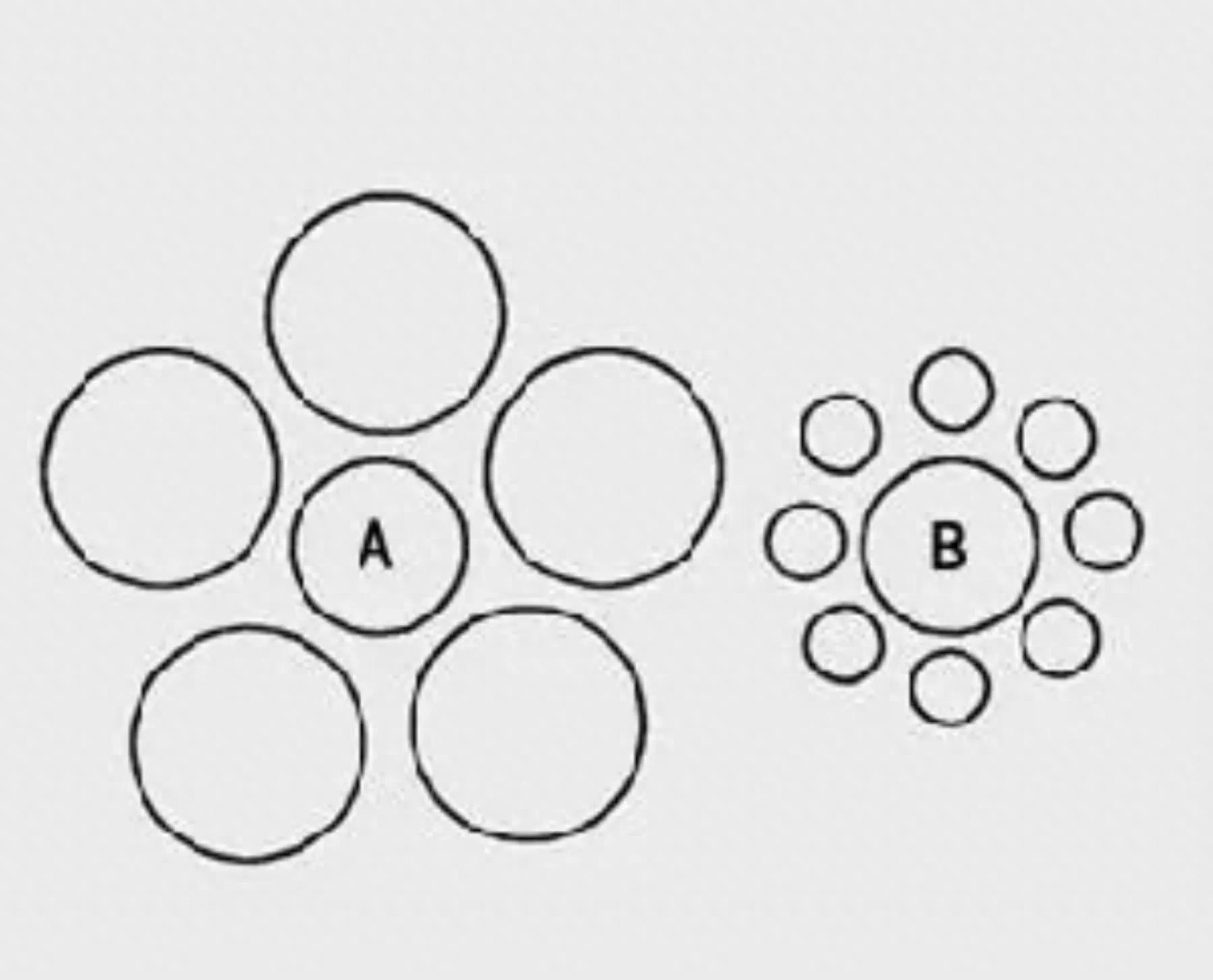 知觉的基本特征 生活应用_知觉相对性选择性整体性恒常性组织性