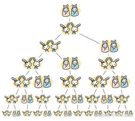 斐波那契数列生活应用_斐波纳契数列 黄金分割 自然界中的斐波纳契数列